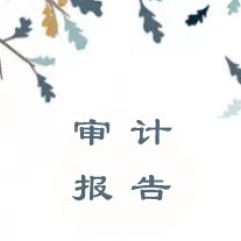 2024年北京桥爱慈善基金会审计报告
